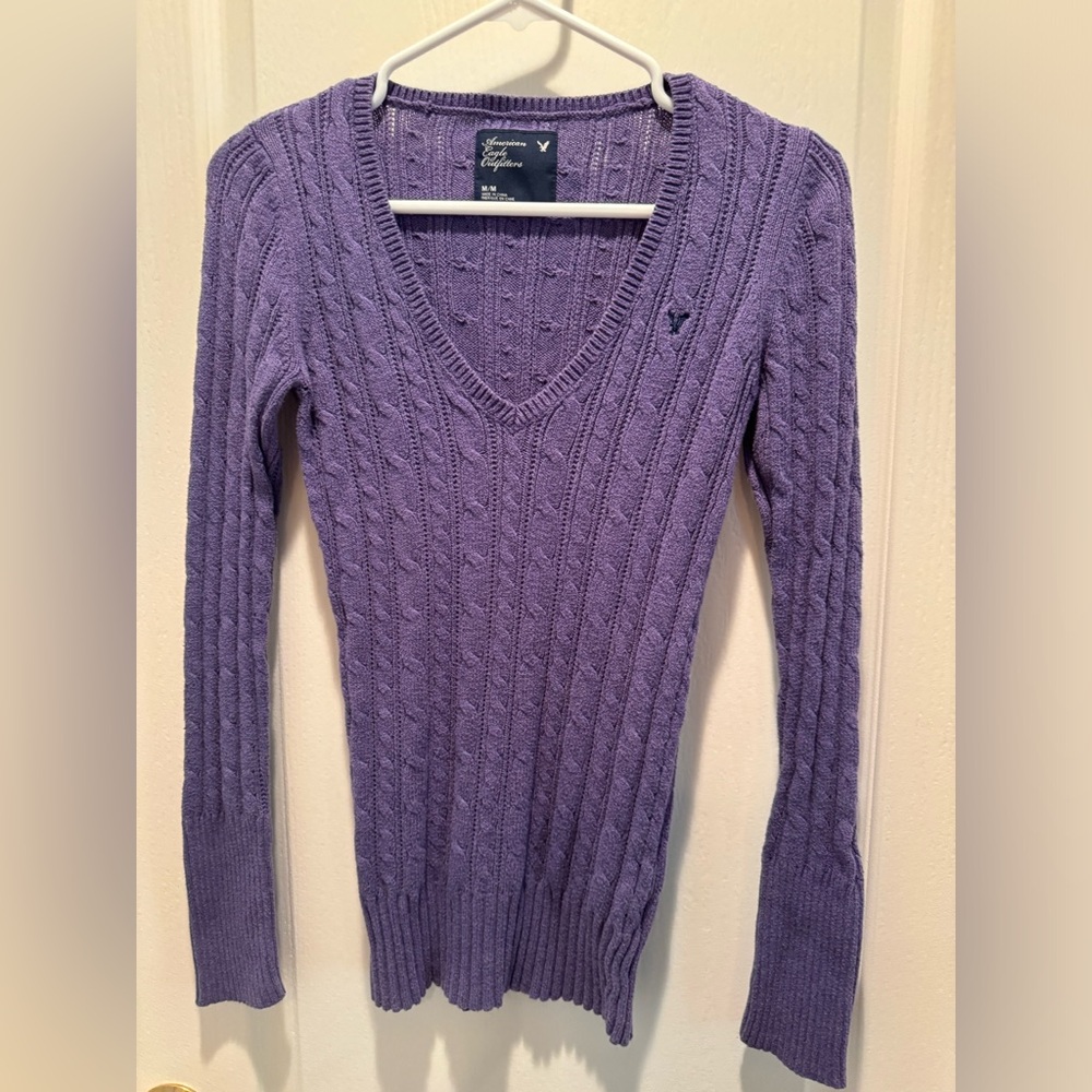 Purple V Neck sweater from American Eagle Outfitters